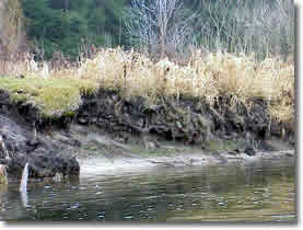 eroded bank